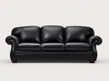 3 Sitzer Sofas mit Bezug in Lederoptik 220x95x90 cm - Schwarz - Klassisches Design mit gerollten Armlehnen